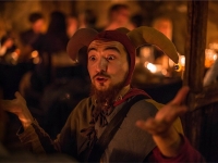 Dinner With a Medieval show